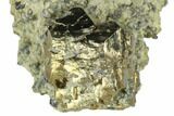 Pyrite Crystals in Matrix - Nærsnes, Norway #177277-2